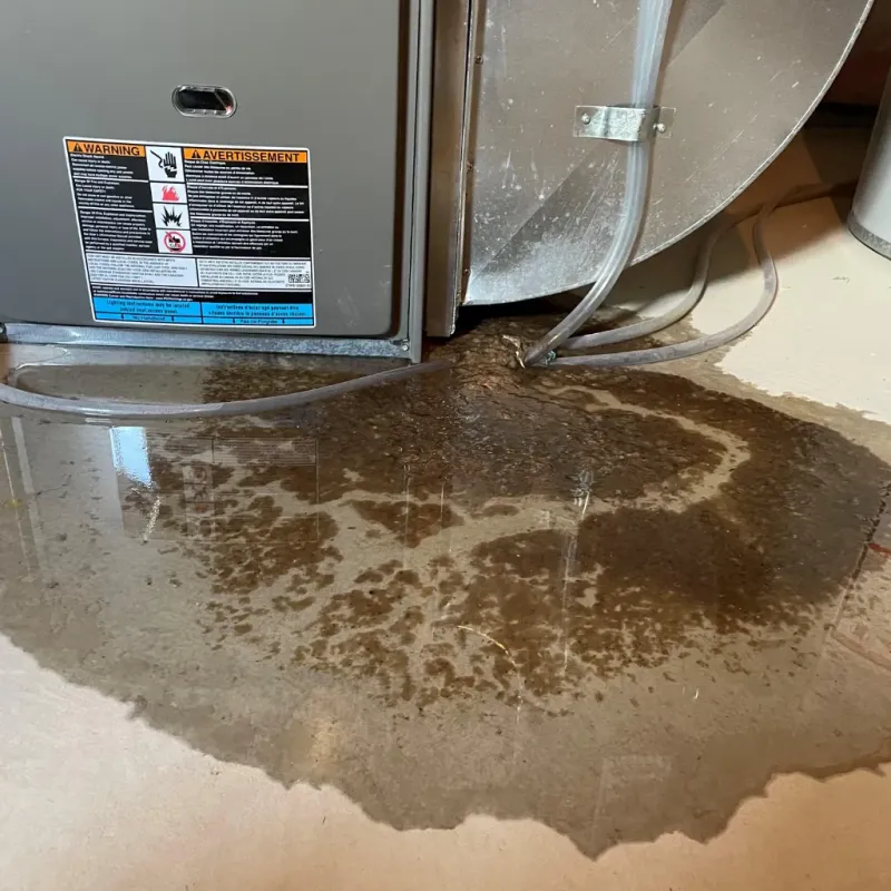 Appliance Leak Cleanup in Mount Olive, AL